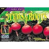 Plant Stems & Roots (Look Once, Look Again Science Series)