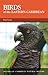 Birds of the Eastern Caribbean (Caribbean Pocket Natural History)