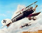 WW1 Plane, Albatross D III 16 x 20 Military Art Print Posters