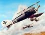 WW1 Plane, Albatross D III 16 x 20 Military Art Print Posters