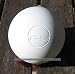 Ball for Bat and Trap or Lacrosse