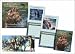Books : Narnia Calendar 2009: AND The Lion, the Witch and the Wardrobe Picture Book (Narnia)