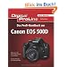 Digital ProLine: Das Profihandbuch zur Canon EOS 500D