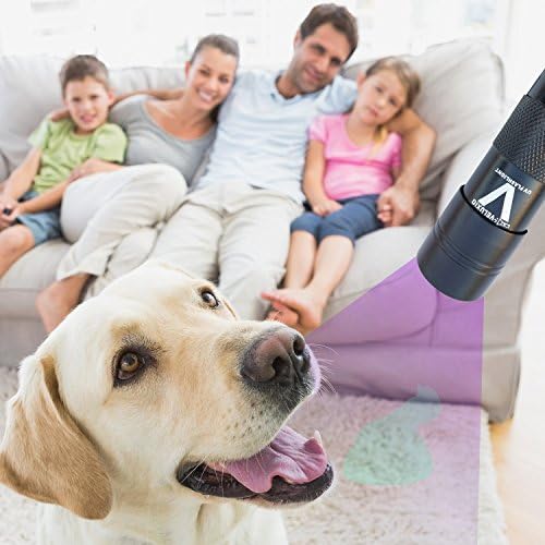 Veluxio UV Flashlight LED Pet Urine Detector