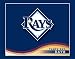Turner MLB Tampa Bay Rays Boxed Note Cards (8590127)