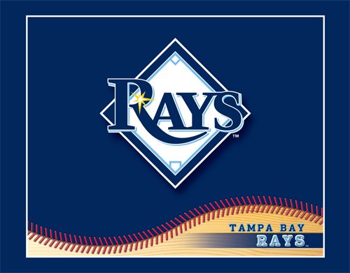 Turner MLB Tampa Bay Rays Boxed Note Cards (8590127)