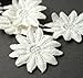 White Cotton Daisy Flower Trim, 1-3/4 Inch by 1 Yard, TR-10914