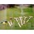 Wooden Croquet Set