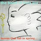 Leaves That Fall In Spring...
