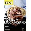 To Kill a Mockingbird: York Notes for GCSE 2010