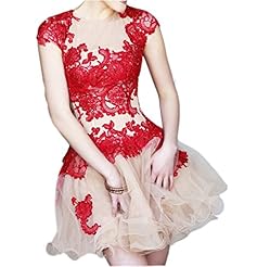 Short Lace Open-Back Applique Tulle Homecoming Dress/Wedding Dress/Mini Dress 