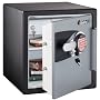Sentry Safe 1.2 Cf. Elect Blk/gry Sentry Fire-safe