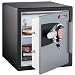 Fire-Safe 1.2 Cu. Ft. Capacity Electronic Safe, Black/Gunmetal Gray