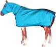 Teal Model Horse Sleazy Sleepwear Blanket Set