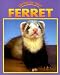 Search : Ferret (Caring for Your Pet)