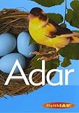Adar