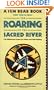 The Roaring of the Sacred River: The Wilderness Quest for Vision and Self-Healing
