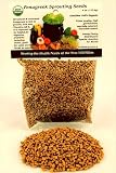 Certified Organic Fenugreek Sprouting Seed: 1/4 Lb. (4 Oz.) of Fenugreek for Sprouts, Planting, Cooking, Gardening, Hydroponics, Salad & More: Rich in Chlorophyll & Vitamins. Revered By the Chinese for Hormone Balance & Weight Loss. They Make a Zesty Addition to Sprout Salads.