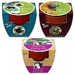 Buzzy Mini Grow Pot Kit - Assortment