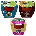 Buzzy Mini Grow Pot Kit - Assortment