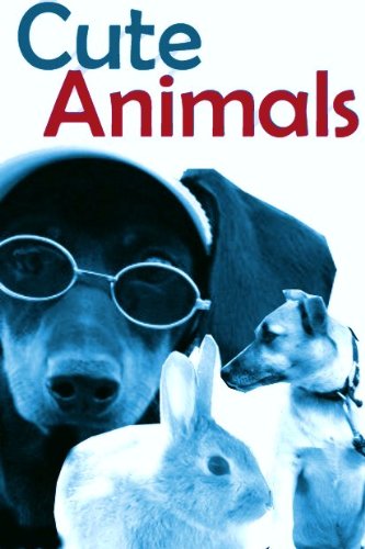 Cute Animals