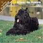 Bouvier des Flanders (US) 2008 Wall Calendar