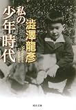 私の少年時代 (河出文庫)