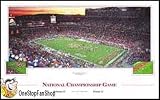 Florida Gators New Panoramic Photo Image Poster