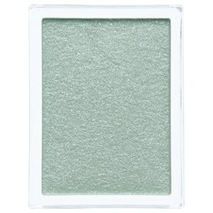 【クリックで詳細表示】エテュセ アイカラーC GR3 (1.10g)