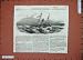 1851 Ship Wreck Border Queen Steamer Winga Islet Sea