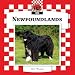 Newfoundlands (Checkerboard Animal Library: Dogs)