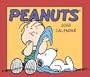 Peanuts: 2008 Day-to-Day Calendar