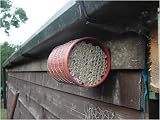RED MASON BEE NEST - 100 TUBES