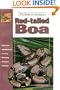 The Guide to Owning a Red-Tailed Boa