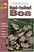Red-tailed Boas and Other Boa Constrictors (Guide to Owning A...)