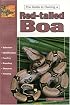 The Guide to Owning a Red-Tailed Boa