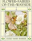 Flower fairies of the wayside
