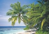 Ravensburger Maldives 1,500 pc pzl