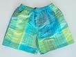 Mens Volley Swim Trunks with Elastic Waist, 2 Side Inseam Pockets. Faux Fly Front, Mesh lined. Blue/Green Madras Plaid Sizes S-XL