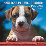American Pit Bull Terrier Puppies 2009 Small Wall Calendar