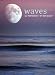 Books : Waves Postcard Book
