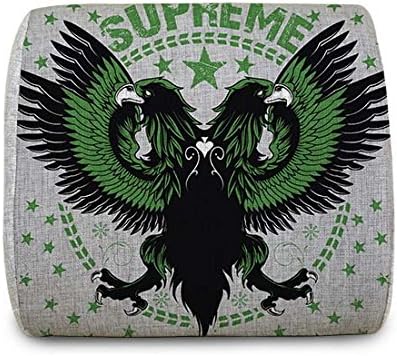 Hugwarm Portable Superme Eagle High Quality Memory Foam Back Cushion for Car Seats, Office Computer Seats,sofa and Other Chairs