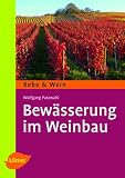 Bew�sserung im Weinbau - Wolfgang Patzwahl