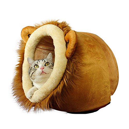 Super Fun Cat Toys What Cats Need