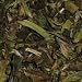 white peony tea
