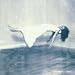 Lisa Germano-Lullaby for Liquid Pig (+Bonus CD)