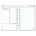 Day-Timer Recycled 2-Page/Day Planner Refill, Desk Size, 5 1/2 x 8 1/2 Inches, January - December, 2010 (D16016100101A)