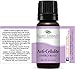 Anti Cellulite Synergy Essential Oil Blend. 10 ml (1/3 oz). 100% Pure, Undiluted, Therapeutic Grade. (Blend of: Juniper, Lavender, Geranium, Bergamot, Chamomile, Rosemary, Grapefruit and Fennel