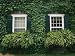 Detail of the Ivy-Covered James Fenimore Cooper House Photographic Poster Print, 24x1...