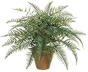24 Inch River Fern Bush X35 - Qty of 6
